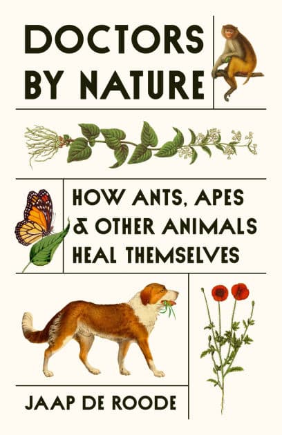 Doctors by Nature: How Ants, Apes, and Other Animals Heal Themselves by Jaap de Roode
