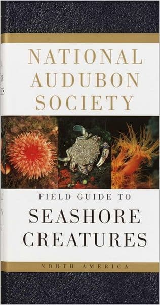 National Audubon Society Field Guide to Seashore Creatures: North America by Norman A. Meinkoth