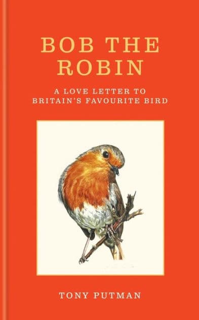 Bob the Robin: A love letter to Britain's favourite bird by Tony Putman