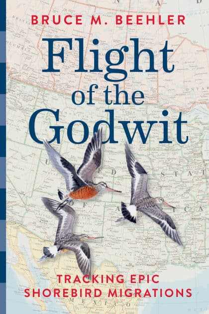 Flight of the Godwit: Tracking Epic Shorebird Migrations by Bruce M. Beehler