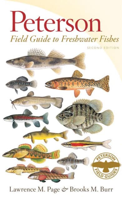 Peterson Field Guide To Freshwater Fishes, Second Edition / Edition 2 by Brooks M. Burr, Lawrence M. Page