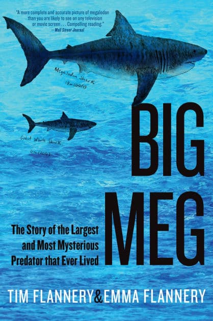 Big Meg: The Story of the Largest and Most Mysterious Predator that Ever Lived by Tim Flannery