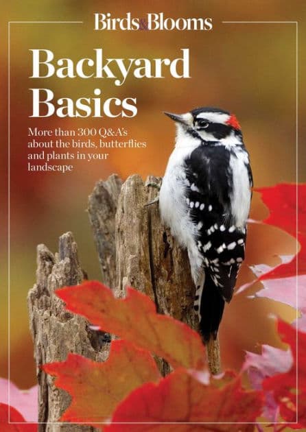 Birds and Blooms Backyard Basics: More than 300 Q&As about birds, butterflies and plants in your landscape by Birds, Blooms