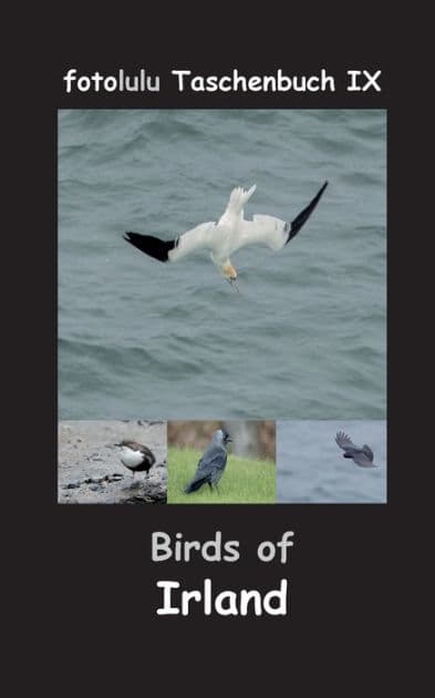 Birds of Irland: fotolulu Taschenbuch IX by Fotolulu