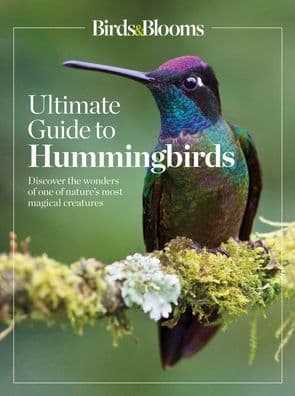 Birds & Blooms Ultimate Guide to Hummingbirds: Discover the wonders of one of nature's most magical creatures by Birds, Blooms