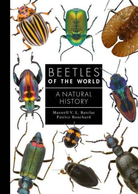 Beetles of the World: A Natural History by Maxwell V. L. Barclay