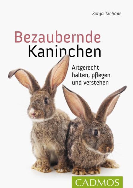 Bezaubernde Kaninchen: Artgerecht halten, pflegen und verstehen by Sonja Tschöpe