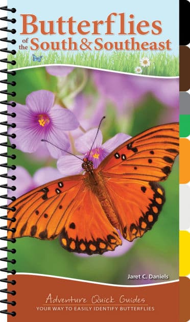 Butterflies of the South & Southeast: Your Way to Easily Identify Butterflies by Jaret C. Daniels