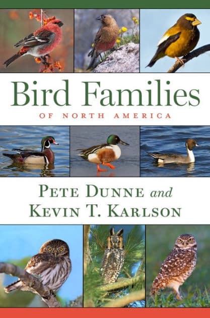 Bird Families Of North America by Pete Dunne