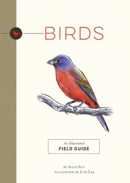 Birds: An Illustrated Field Guide by Alice Sun