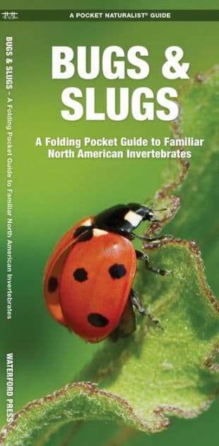 Bugs & Slugs: A Folding Pocket Guide to Familiar North American Invertebrates by James Kavanagh Waterford Press