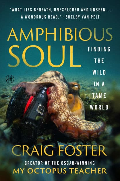 Amphibious Soul: Finding the Wild in a Tame World by Craig Foster