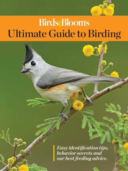 Birds & Blooms Ultimate Guide to Birding by Birds, Blooms
