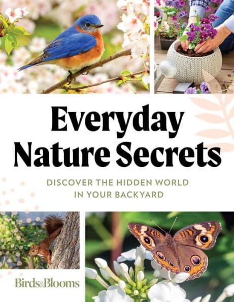 Birds & Blooms Everyday Nature Secrets: Discover the Hidden World in Your Backyard by Birds, Blooms