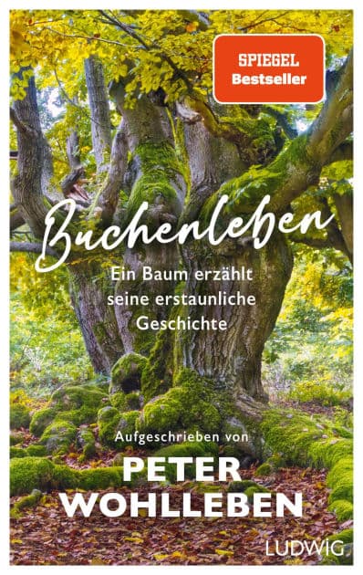 Buchenleben: Ein Baum erzählt seine erstaunliche Geschichte by Peter Wohlleben
