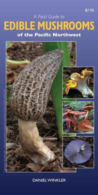 A Field Guide to Edible Mushrooms of the Pacific Northwest by Daniel Winkler
