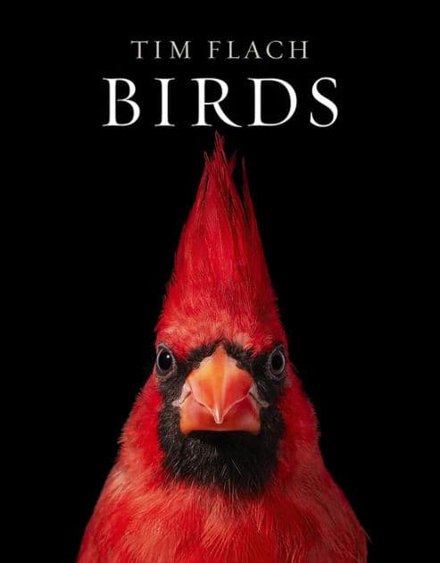 Birds: Photographs by Tim Flach
