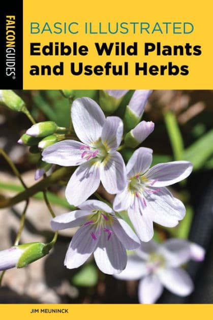 Basic Illustrated Edible Wild Plants and Useful Herbs by Jim Meuninck