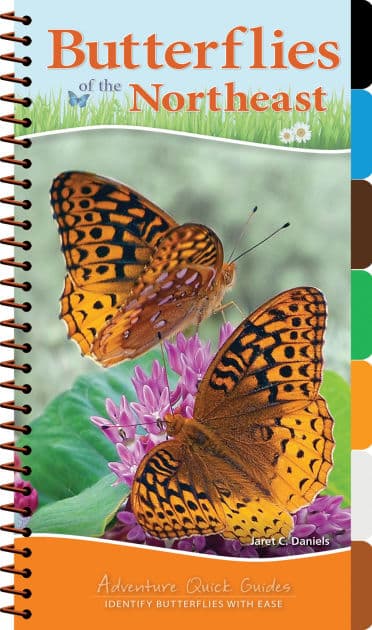 Butterflies of the Northeast: Identify Butterflies with Ease by Jaret C. Daniels