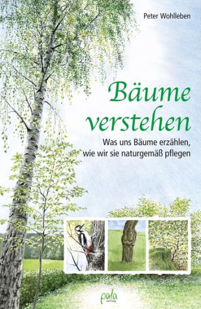 Bäume verstehen: Was uns Bäume erzählen, wie wir sie naturgemäß pflegen by Peter Wohlleben