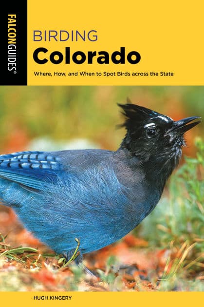 Birding Colorado by Hugh Kingery