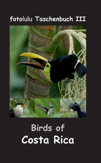 Birds of Costa Rica: fotolulu Taschenbuch III by Fotolulu