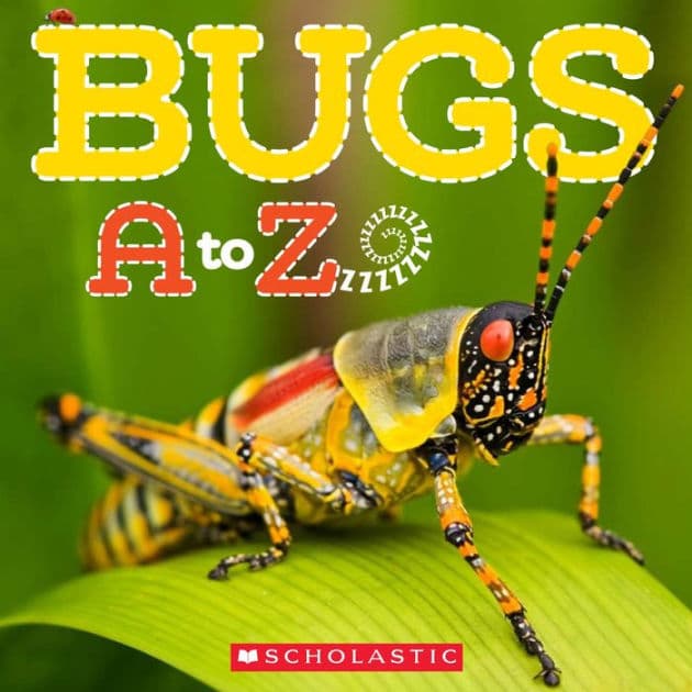 Bugs A to Z by Caroline Lawton