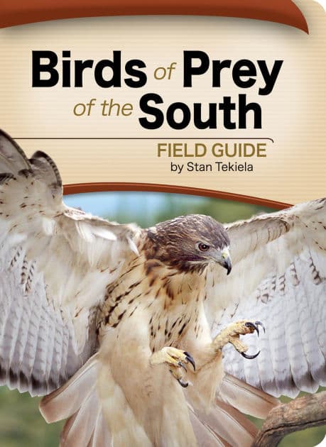 Birds of Prey of the South Field Guide by Stan Tekiela