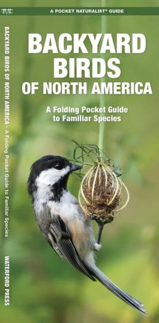 Backyard Birds of North America: A Folding Pocket Guide to Familiar Species by Waterford Press Waterford Press