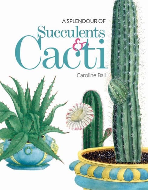 A Splendour of Succulents & Cacti by Caroline Ball