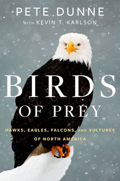 Birds Of Prey: Hawks, Eagles, Falcons, and Vultures of North America by Pete Dunne