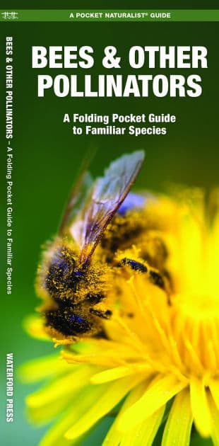 Bees & Other Pollinators: A Folding Pocket Guide to Familiar Species by James Kavanagh Waterford Press