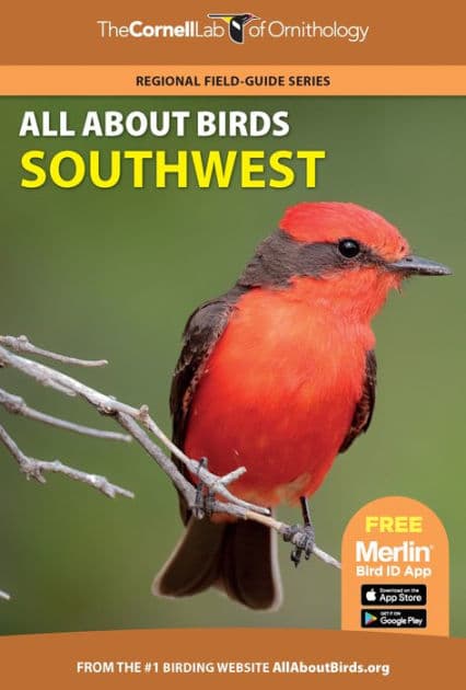 All About Birds Southwest by Cornell Lab of Ornithology