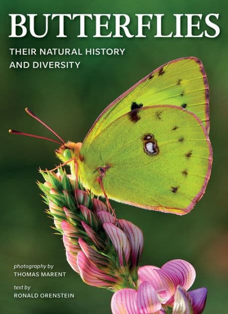 Butterflies: Their Natural History and Diversity by Ronald Orenstein
