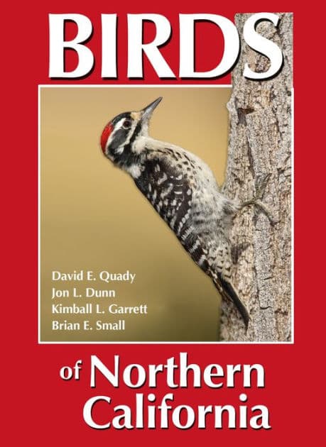 Birds of Northern California by David E. Quady