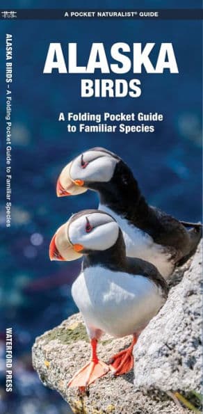 Alaska Birds: A Folding Pocket Guide to Familiar Species by James Kavanagh Waterford Press