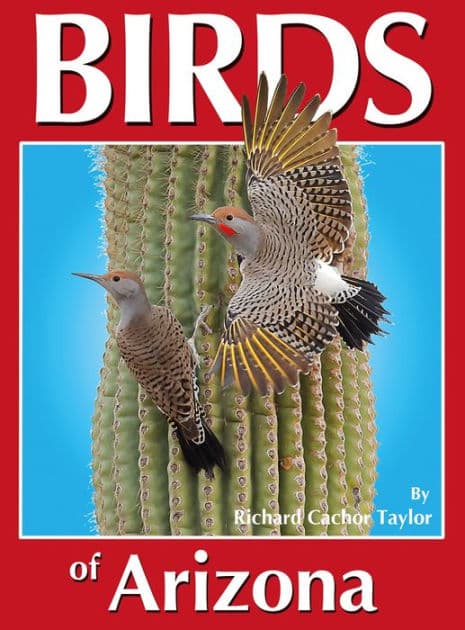 Birds of Arizona by Richard Cachor Taylor