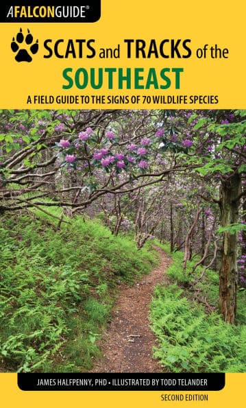 Scats and Tracks of the Southeast by James Halfpenny