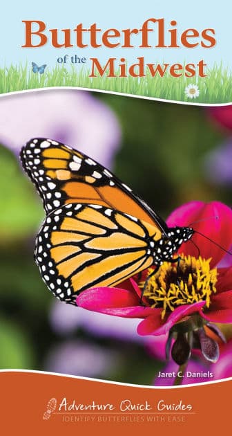 Butterflies of the Midwest: Identify Butterflies with Ease by Jaret C. Daniels