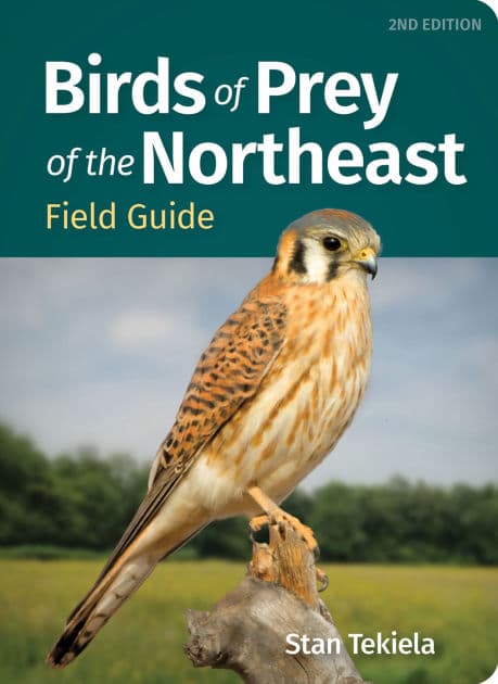 Birds of Prey of the Northeast Field Guide by Stan Tekiela