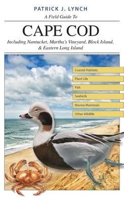 A Field Guide to Cape Cod: Including Nantucket, Martha's Vineyard, Block Island, and Eastern Long Island by Patrick J. Lynch
