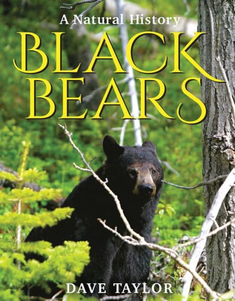 Black Bears: A Natural History by Dave Taylor