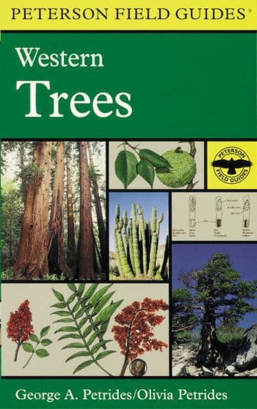 A Peterson Field Guide To Western Trees: Western United States and Canada by Olivia Petrides