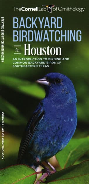 Backyard Birdwatching in Houston: An Introduction to Birding and Common Backyard Birds of Southeastern Texas by Waterford Press Waterford Press