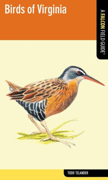 Birds of Virginia by Todd Telander