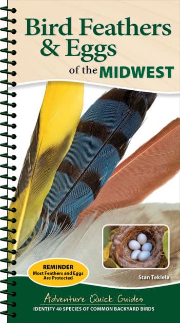 Bird Feathers & Eggs of the Midwest: Identify 40 Species of Common Backyard Birds by Stan Tekiela