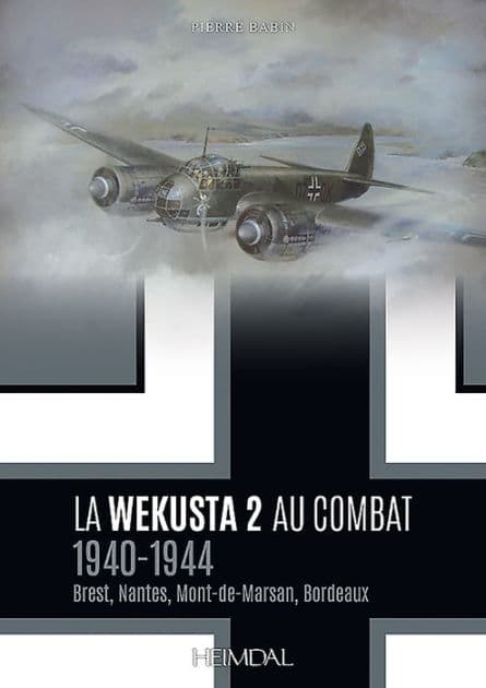 Sturmtruppen: Les Troupes D'Assaut de L'Armee Allemande 1914-1918 by Ricardo Recio Cardona