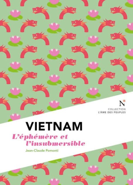Vietnam : L'éphémère et l'insubmersible by Jean-Claude Pomonti