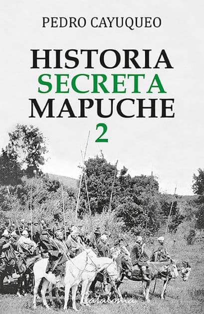 Historia secreta mapuche 2: Argentina by Pedro Cayuqueo