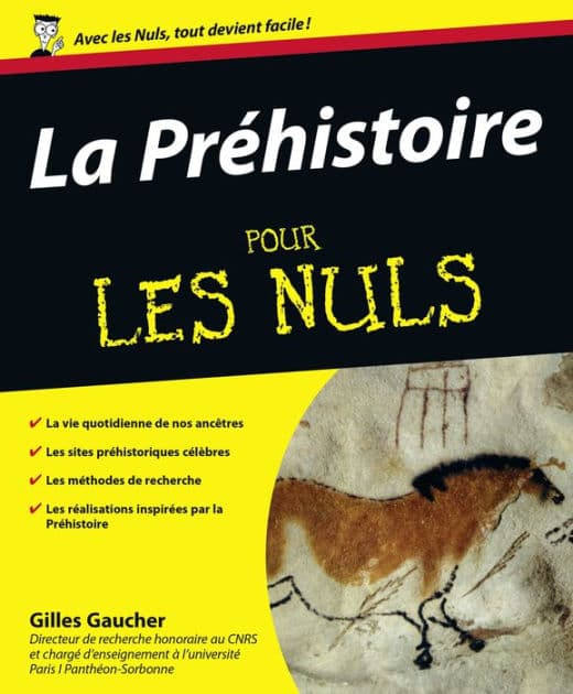 La préhistoire pour les nuls by Gilles Gaucher